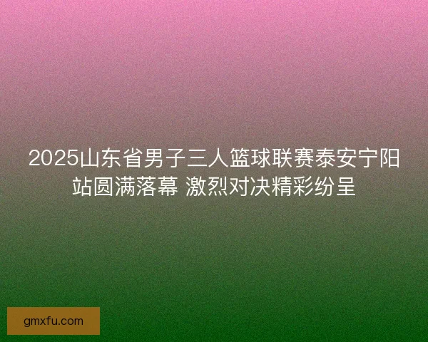 2025山东省男子三人篮球联赛泰安宁阳站圆满落幕 激烈对决精彩纷呈