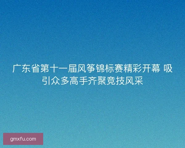 广东省第十一届风筝锦标赛精彩开幕 吸引众多高手齐聚竞技风采